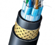 600V_Signal_Cable_with_Individual_Shield_Pair_Twisted